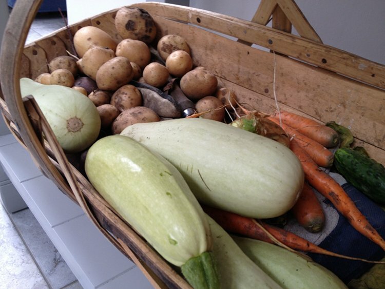 Mixed allotment vegetables